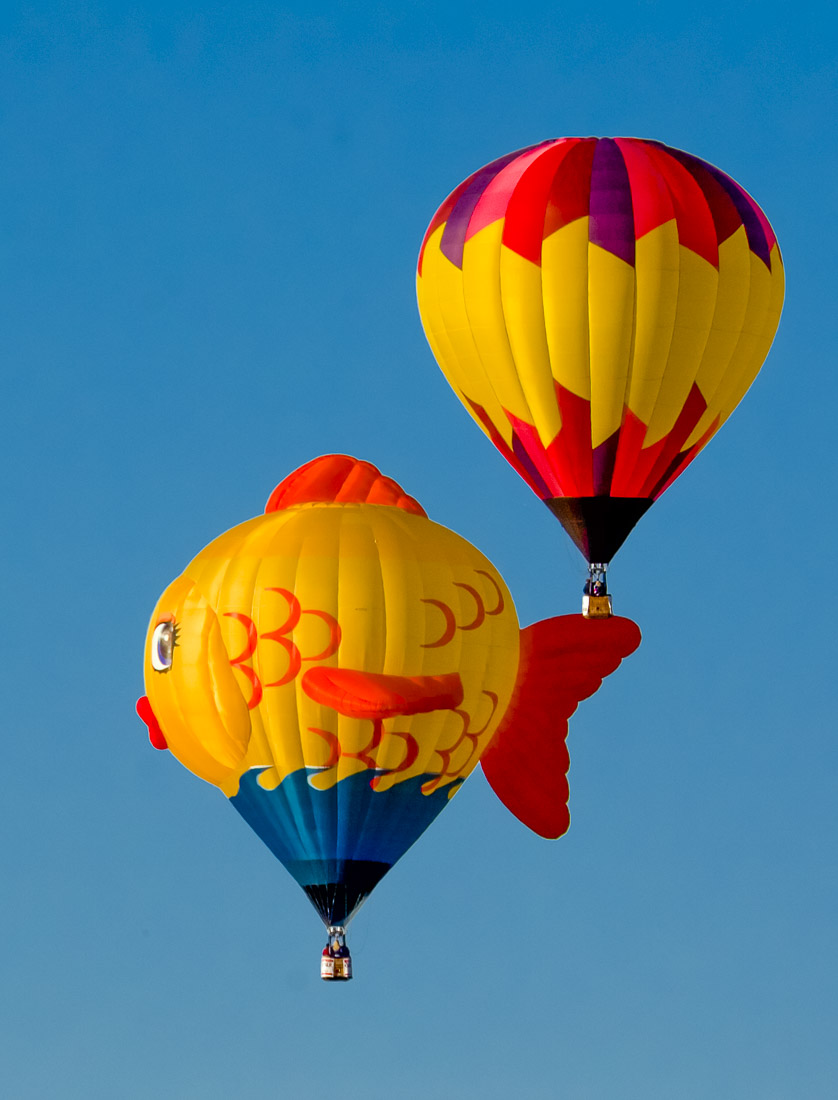 PL20050918-Hot-Air-Balloons-5630.jpg